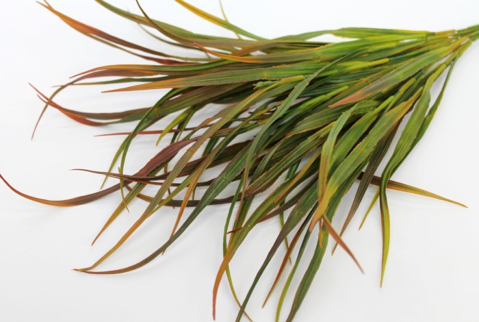 Б11369 Б/С Бук.осока натуральная крупная Арнелла 12в.Н60см(10микс)