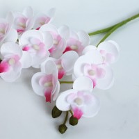 Бело-розовый