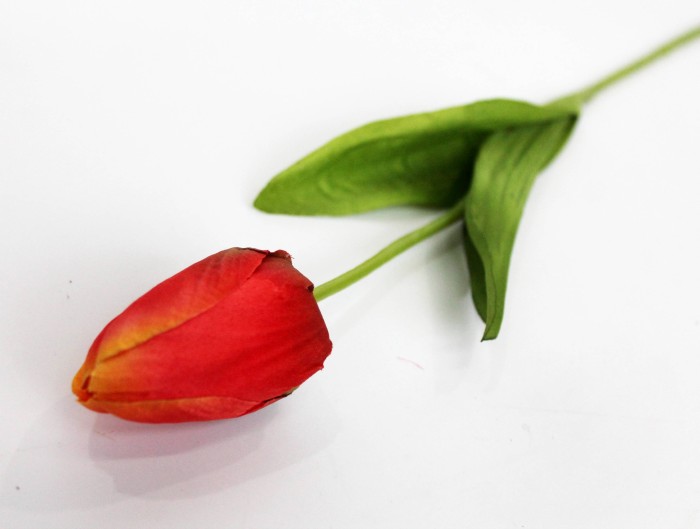 О11930 Тюльпан одиночный 50см(10шт)