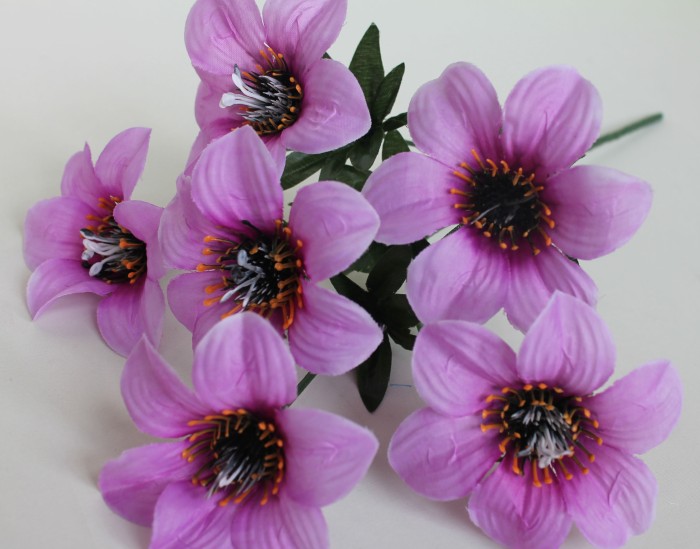 Б11062 Б/С Букет анемона 6гол."Шмель"Н34см(20микс)