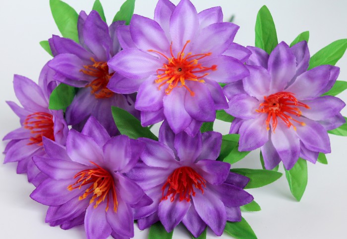 Б11320 Б/С Бук.георгина"Пьеро"6г.Н35см(50микс)