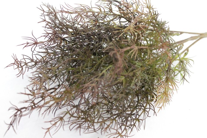 Б11373 Б/С Бук.аспарагус спаржа 5в.Н44см