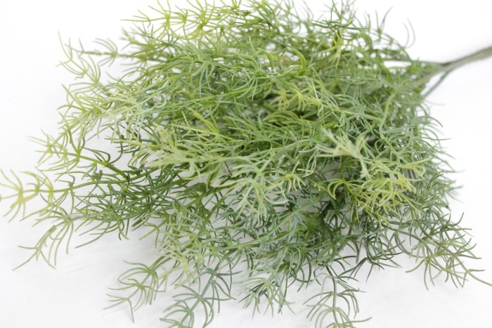 Б11373 Б/С Бук.аспарагус спаржа 5в.Н44см