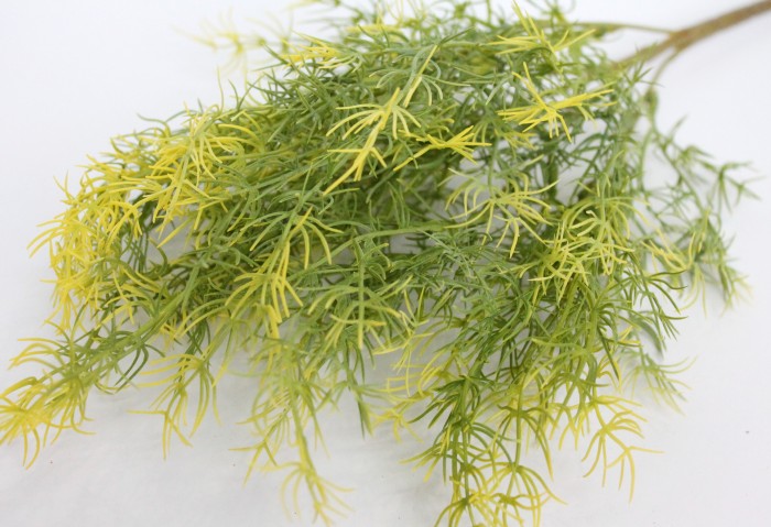 Б11373 Б/С Бук.аспарагус спаржа 5в.Н44см