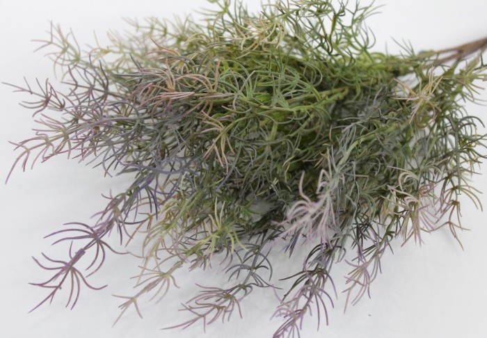 Б11373 Б/С Бук.аспарагус спаржа 5в.Н44см