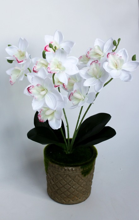 Б11795 Б/С Бук.15 голов 5в.куст.орхидеи"Чайка"46см(3микс)