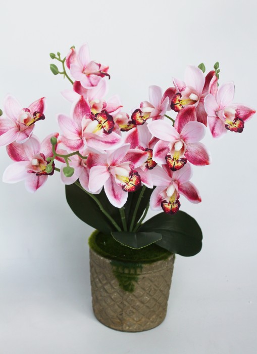 Б11795 Б/С Бук.15 голов 5в.куст.орхидеи"Чайка"46см(3микс)