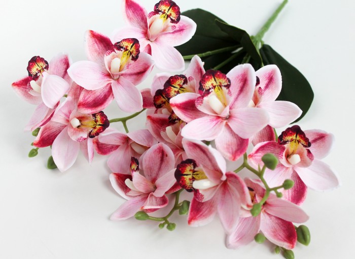 Б11795 Б/С Бук.15 голов 5в.куст.орхидеи"Чайка"46см(3микс)