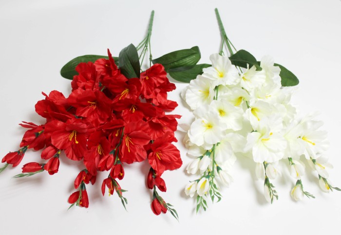 Б12120 Букет крупных гладиолусов "Белое и красное Марго"25гол.+15бут.H69см(2шт)