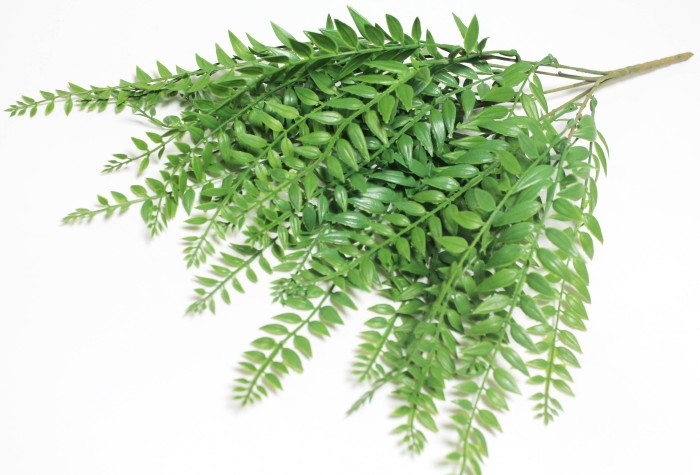 В12209 Б/С Ива ампельная малая 25 веточек Н46см(10шт)