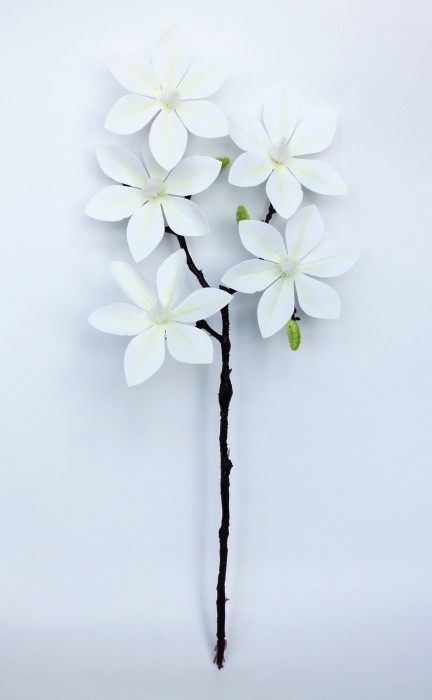 В11796 Б/С Магнолия латекс реликтовая"Гэлакси"5г.Н60см(3шт)