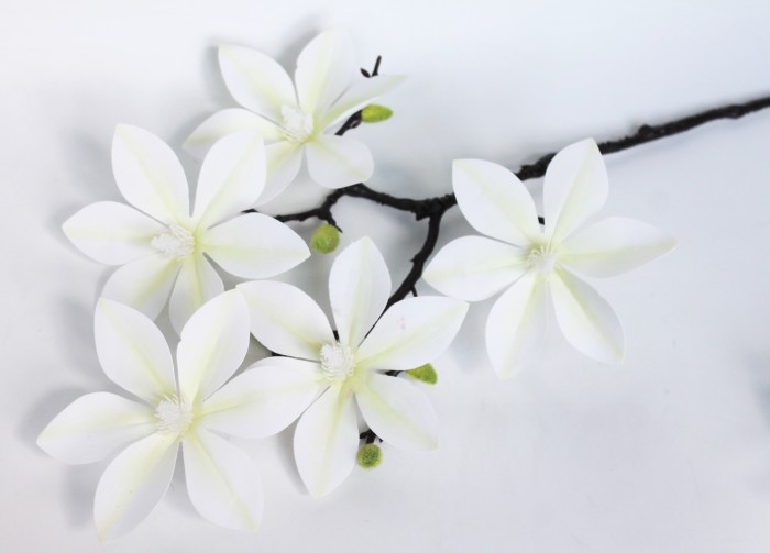 В11796 Б/С Магнолия латекс реликтовая"Гэлакси"5г.Н60см(3шт)