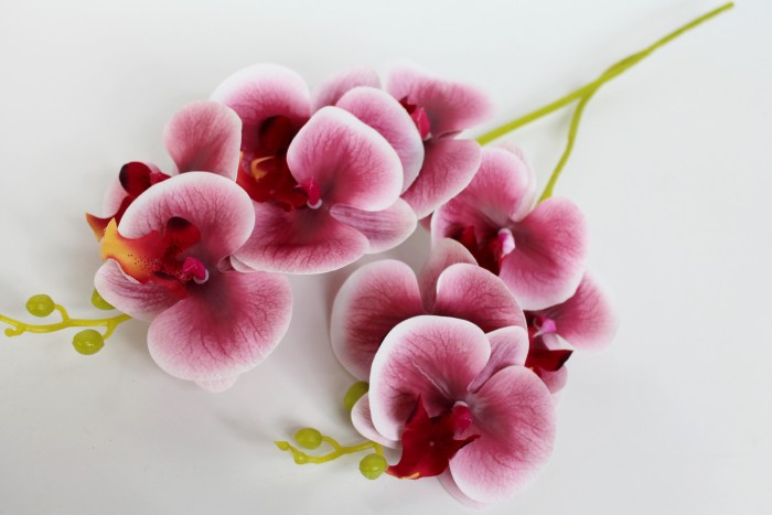 В11848 Б/С Орхидея двойная 9 крупных голов"Верона"55см(4шт)