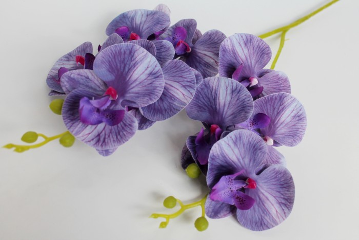 В11848 Б/С Орхидея двойная 9 крупных голов"Верона"55см(4шт)