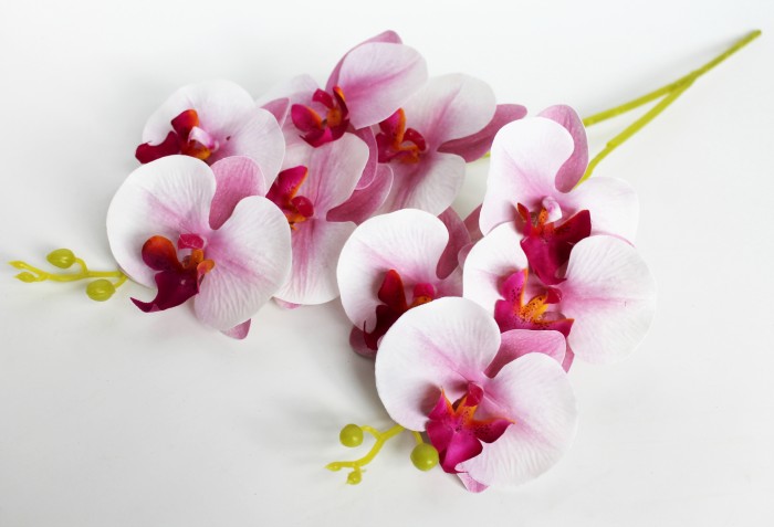 В11848 Б/С Орхидея двойная 9 крупных голов"Верона"55см(4шт)