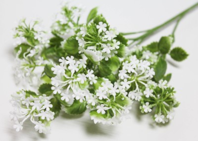 В12131 Ветка"Качим метельчатый"5вет.H63см(5шт)