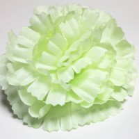 светло-салатовый