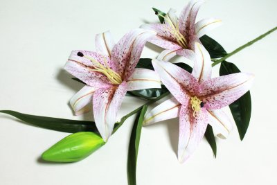 В11427 Б/С Лилия 3Dпечать силик.3г.с бут.Н102см