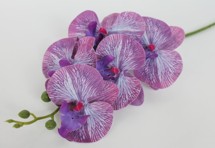 В11849 Б/С Орхидея 5 больших голов"Монте Карло"56см(6шт)