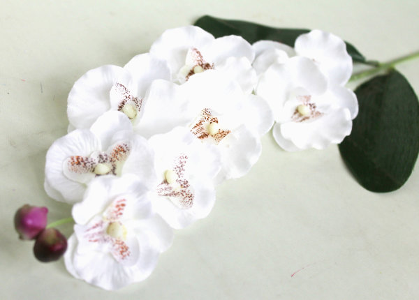 В7493 Б/С Ветка орхидеи"Вероника"8г.Н65см(10шт)