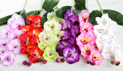 В7493  Вет. орхидеи по расцветкам "Вероника"8г.Н65см(10шт)