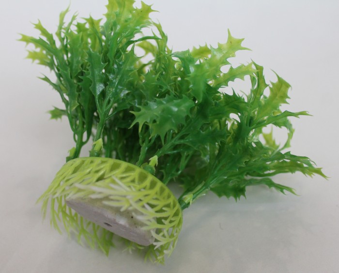 В4686 Б/С Аквариумные растения крупн.объёмные Н11см