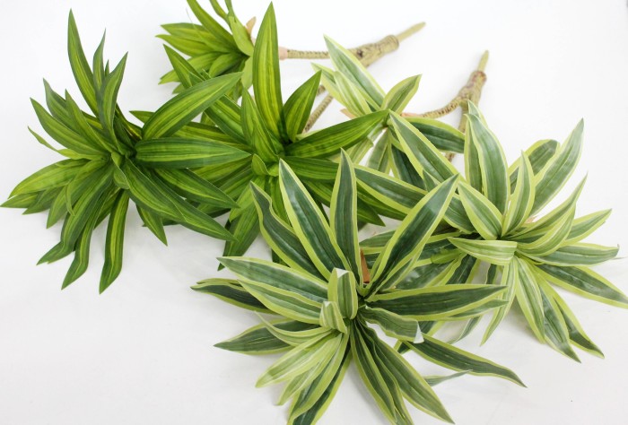 Д11928 Б/С Куст драцена тройная Сюрприз 60см