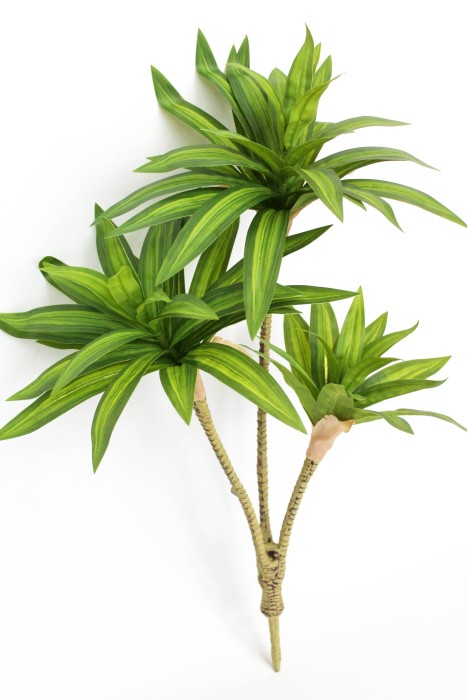 Д11928 Б/С Куст драцена тройная Сюрприз 60см