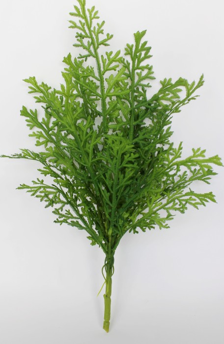 Б11863 Б/С Куст можжевельника Глоу c корешками 54см(2шт)