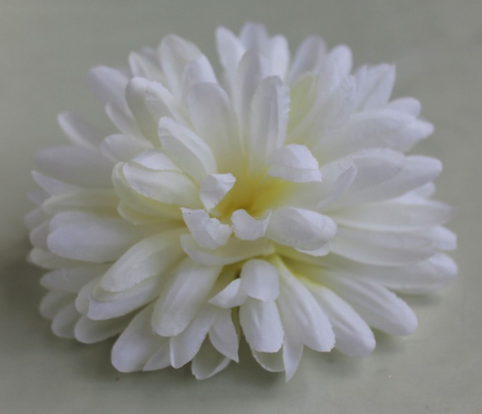 Г9686 Хризантема крупн."Фантастика"6 сл.хлопок d=15см(30/600)