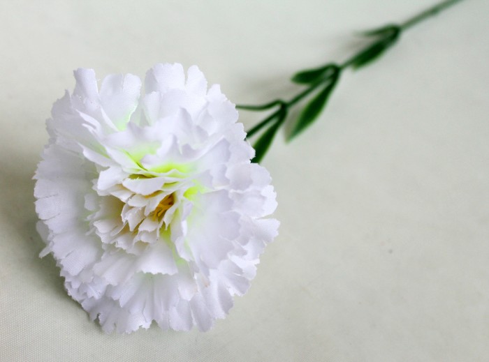 О7825 Б/С Гвоздика один.высокой и толстой ноге Н65см(20шт)