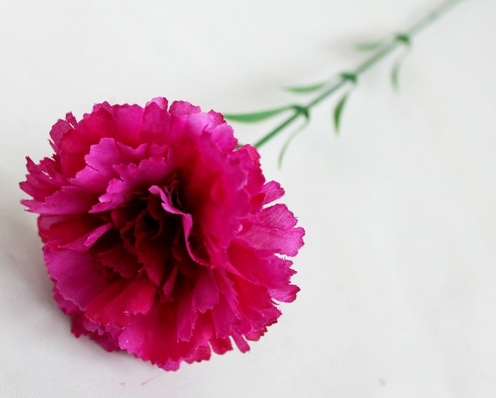 О7825 Б/С Гвоздика один.высокой и толстой ноге Н65см(20шт)