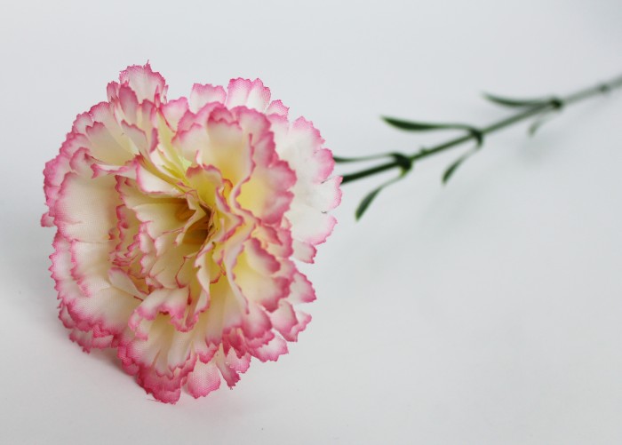 О7825 Б/С Гвоздика один.высокой и толстой ноге Н65см(20шт)