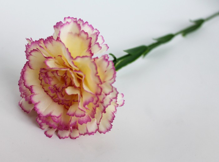 О7825 Б/С Гвоздика один.высокой и толстой ноге Н65см(20шт)