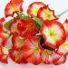 Б11531 Б/С Букет петунья садовая многоцвет.6в.18гол.Н36см(20микс)
