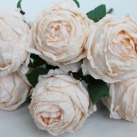 Персиковый