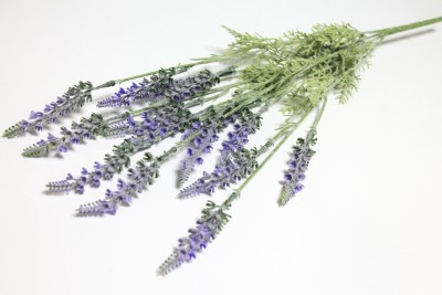 Б12056 Букет лаванда барх.высокая"Прованс"5в.Н51см(10шт)