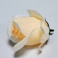 Персиковый