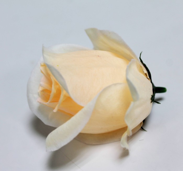 Г12292 Б/С Голова бутон роз обьемный "Добрыня" 8см (50шт)