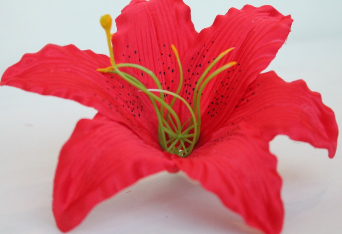 Г6869 Б/С Голова Лилии большая d=20см"Миледи"с тыч.(20шт)