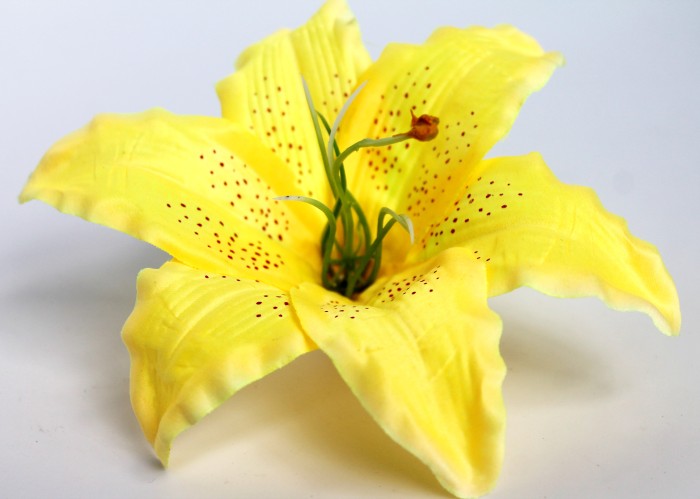 Г6869 Б/С Голова Лилии большая d=20см"Миледи"с тыч.(20шт)