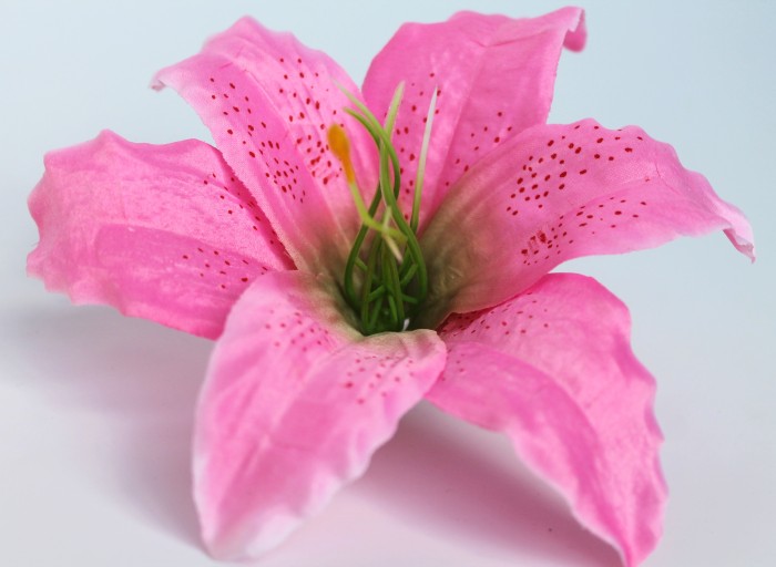 Г6869 Б/С Голова Лилии большая d=20см"Миледи"с тыч.(20шт)