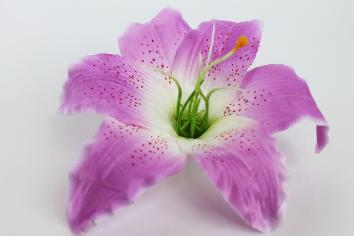 Г6869 Б/С Голова Лилии большая d=20см"Миледи"с тыч.(20шт)