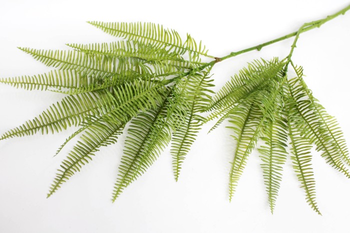 Д11856 Б/С Куст Диптериевый папоротник двухствольный 107см