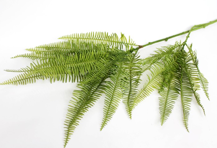 Д11856 Б/С Куст Диптериевый папоротник двухствольный 107см