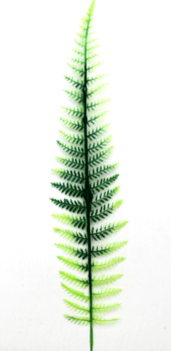 В525 Б/С Папоротник высокий китайский Н42см(20шт)