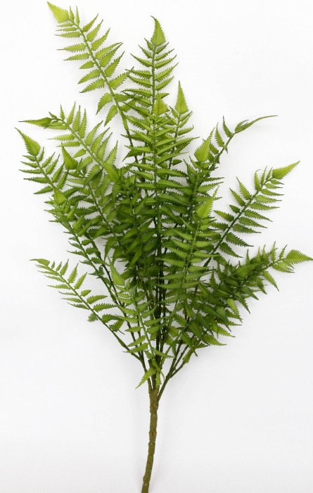 Б11855 Б/С Куст папоротника Даваллия 21лист 78см 74см(2шт)