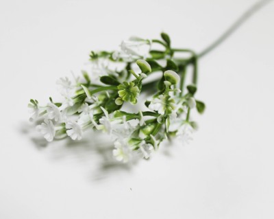 В12138 Ветка-добавка метельчатая H39см(100шт)