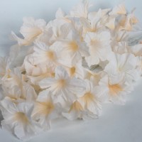 Персиковый