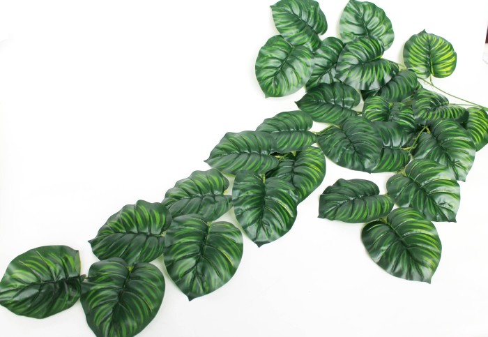 В11864 Б/С Санхеция 27 крупных листов ампельная 120см(2шт)